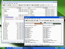 file tree compare lauches file compare